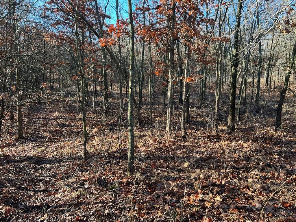 0000 CR 2561 G N/A — photo 23