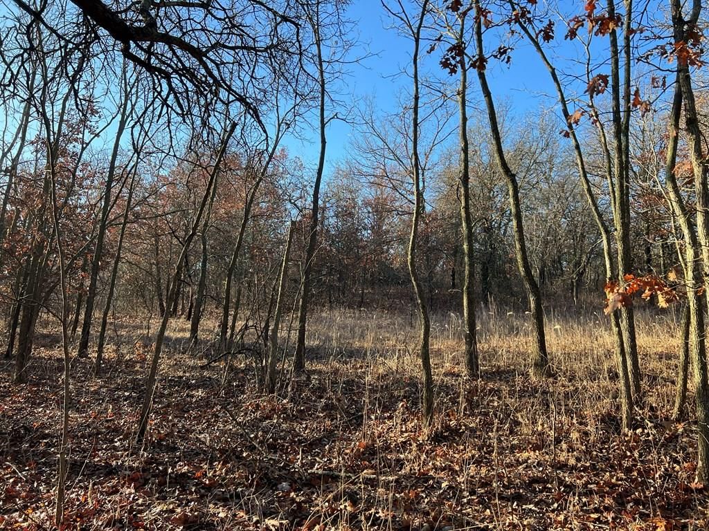 0000 CR 2561 G N/A — photo 25