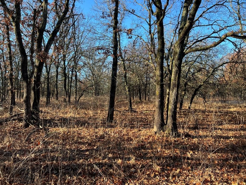 0000 CR 2561 G N/A — photo 28