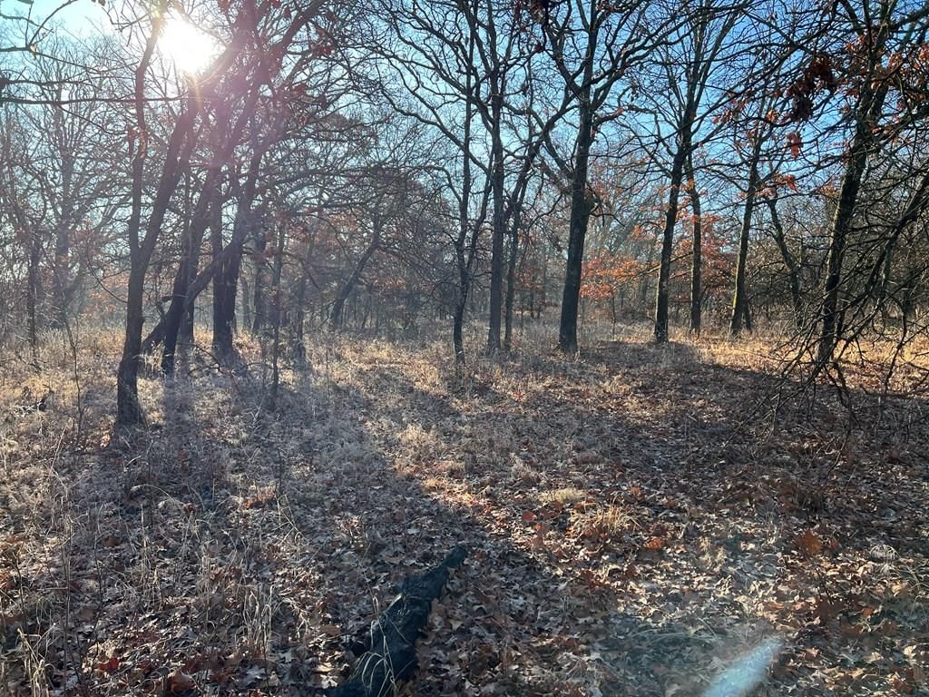 0000 CR 2561 G N/A — photo 30