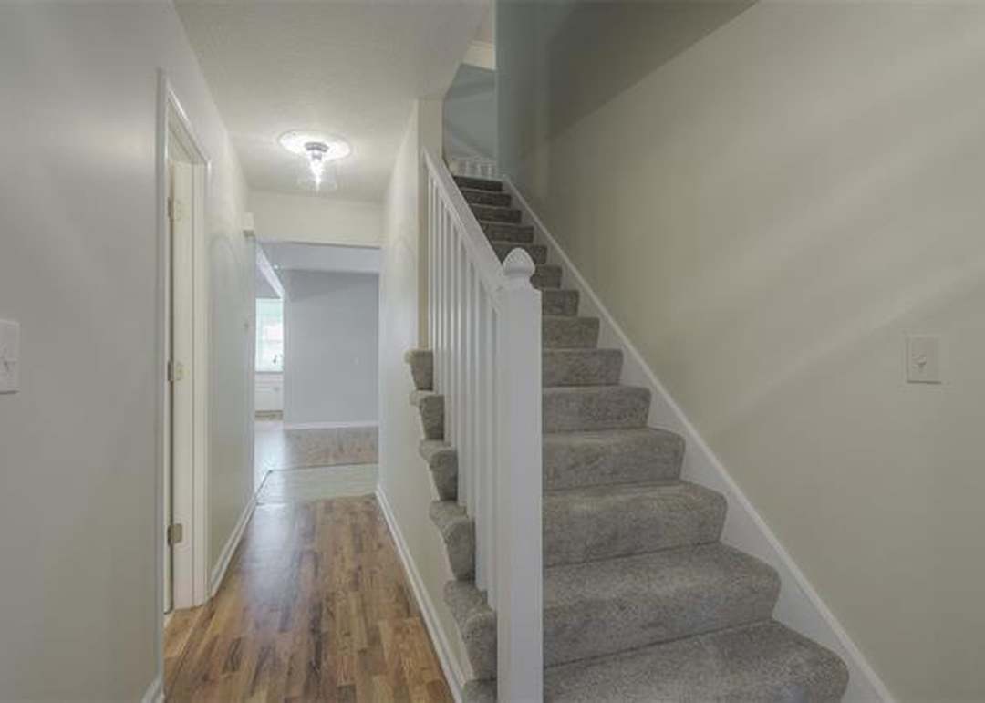 10019 Knox Drive — photo 14