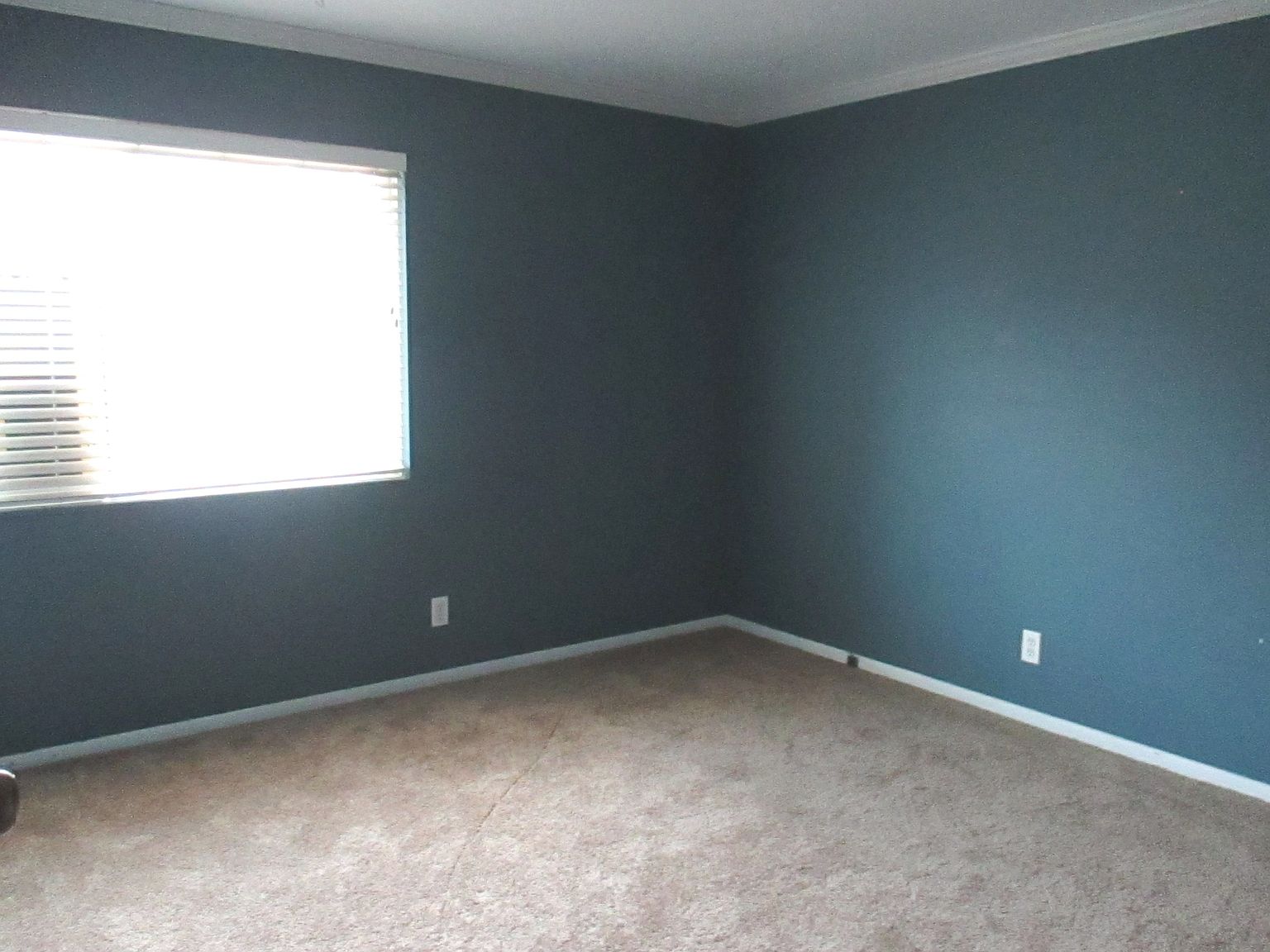 10204 W 96th Terrace — photo 7