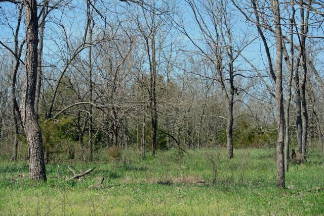 13955 K68 Hwy — photo 7