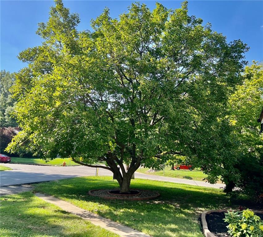 1401 S Franklin Drive — photo 40
