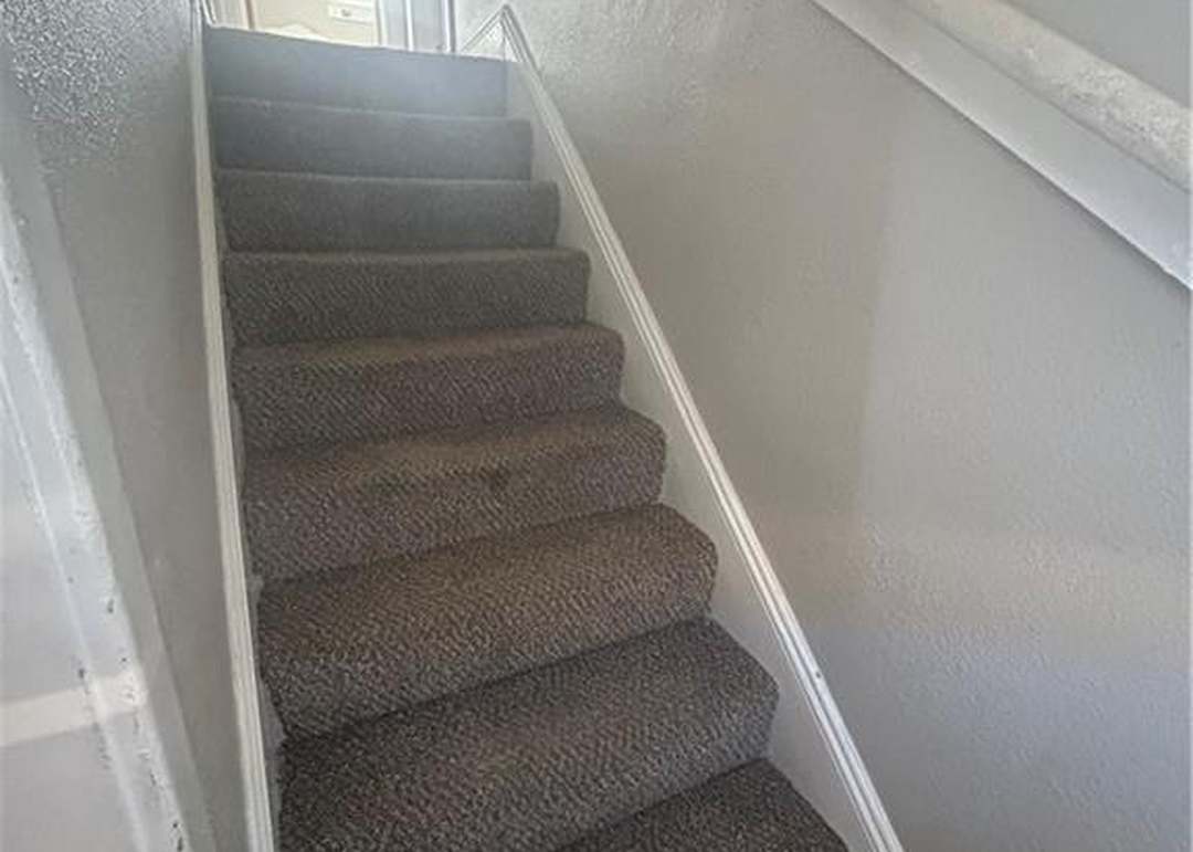 3816 Olive Street — photo 12