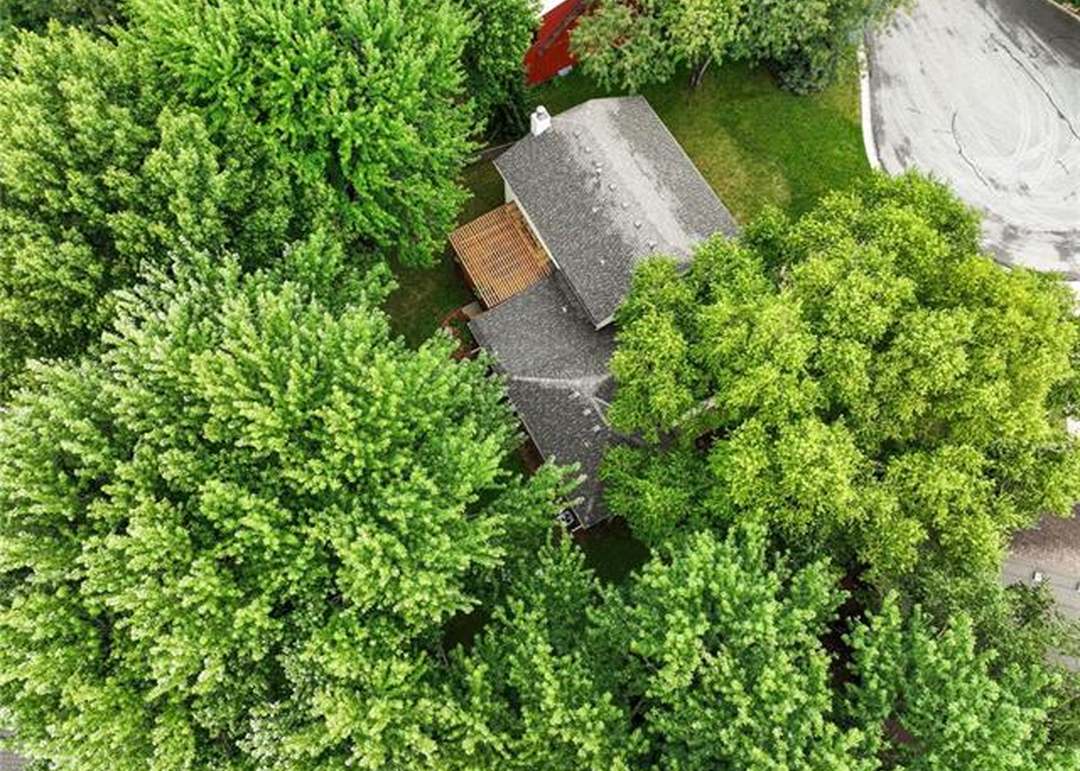 6722 Hauser Drive — photo 39