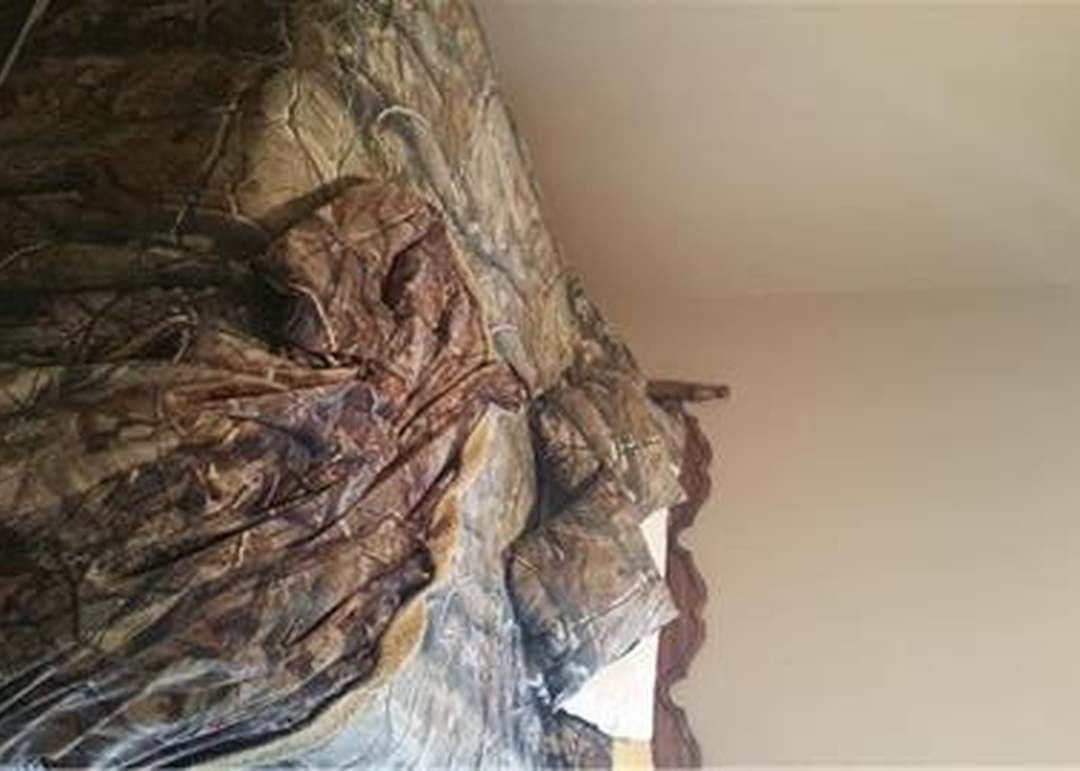 700 York Drive — photo 5