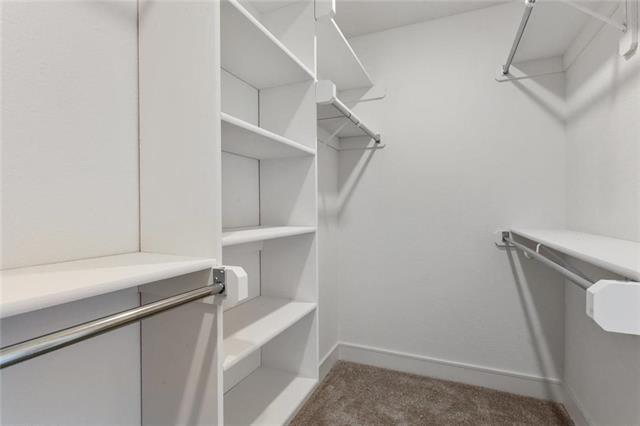 16205 Moon Shot Street — photo 21