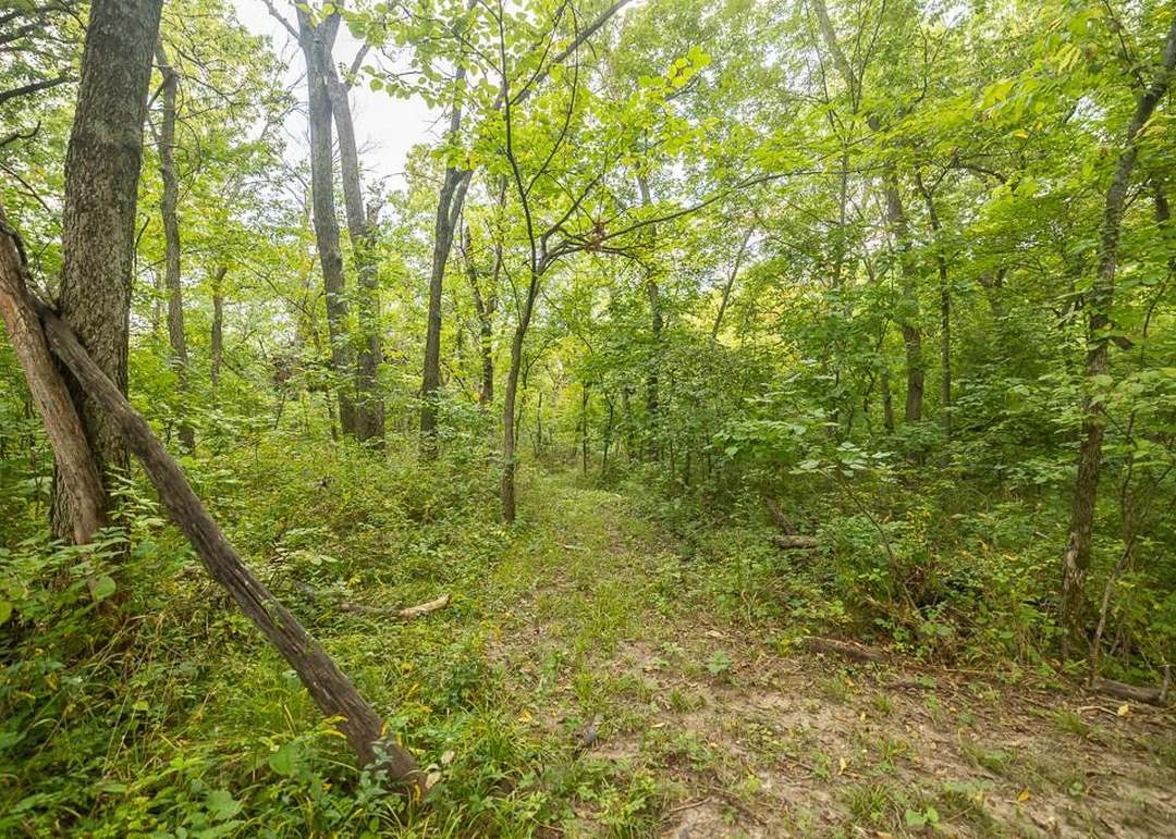 5180 Gibson Road — photo 53