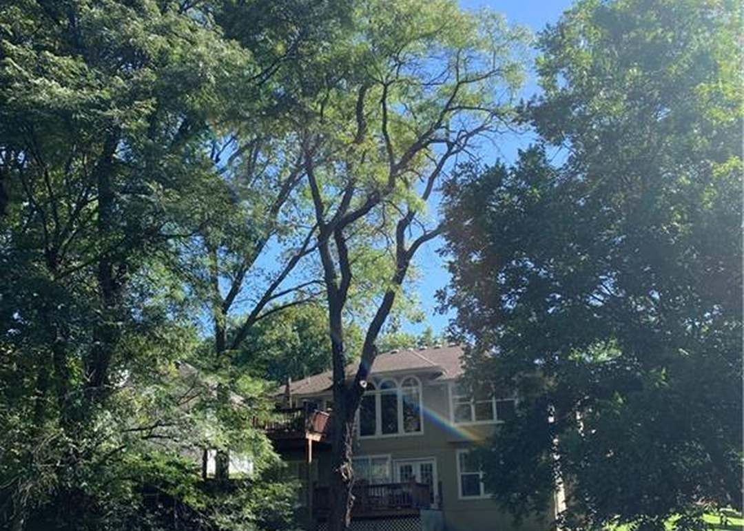 7056 Northern Avenue — photo 61